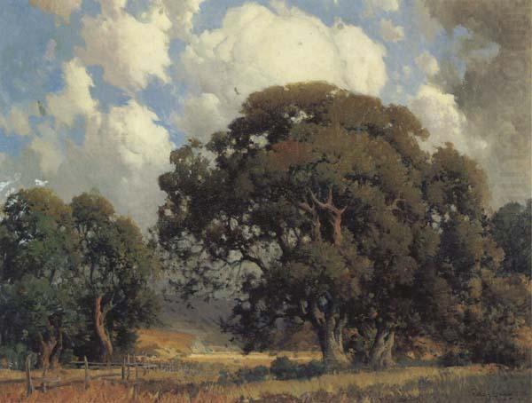 California landscape, unknow artist